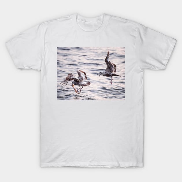 Fighting Gulls T-Shirt by fparisi753